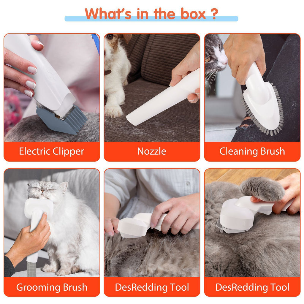 Pet physical toys