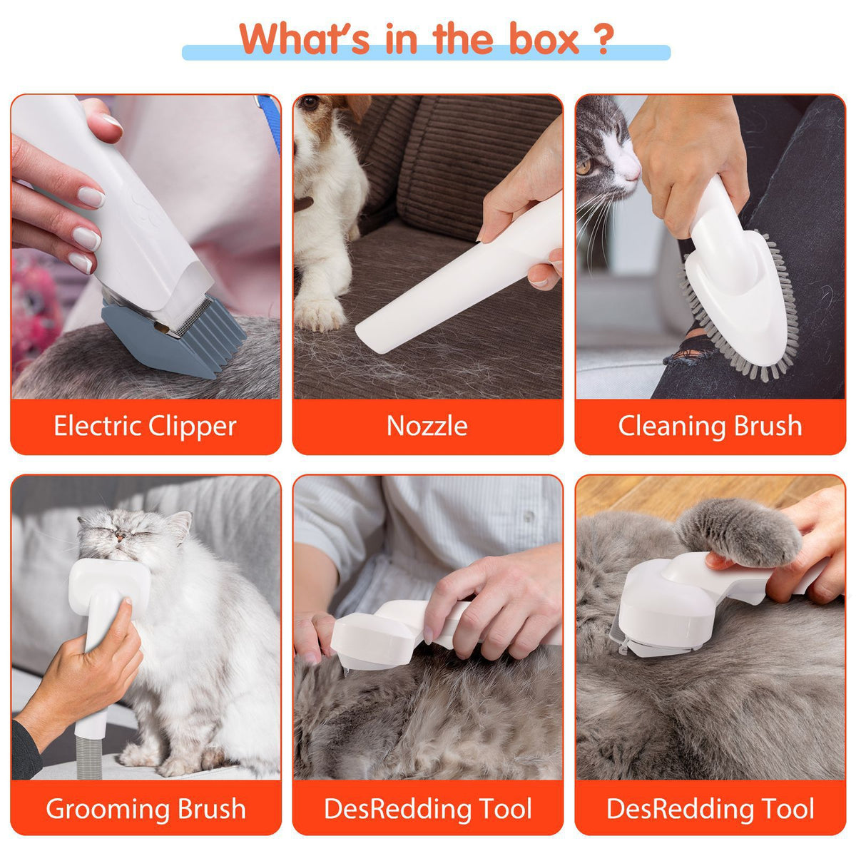 Pet physical toys