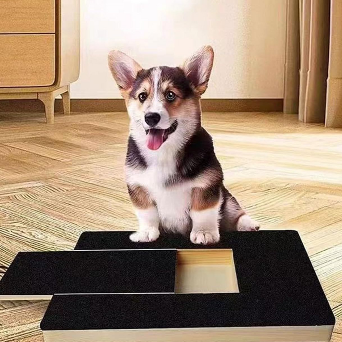 Wooden pet toys