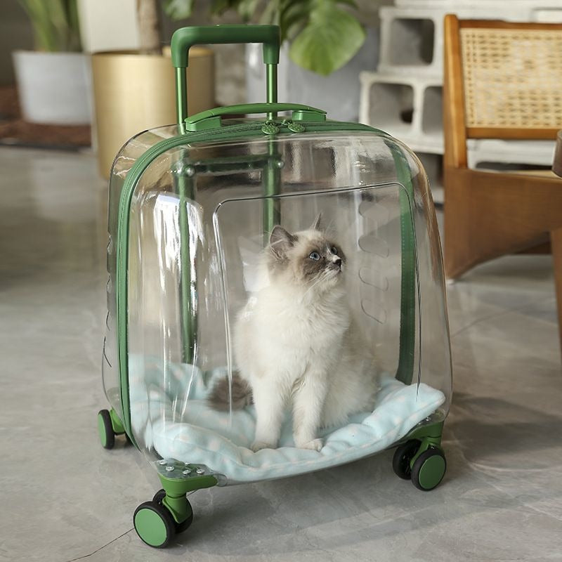 Transparent Pet Travel Carrier Case