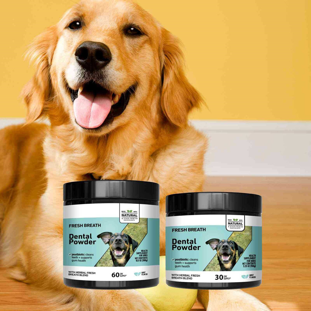 Pet Oral Care Freshening Dental Powder