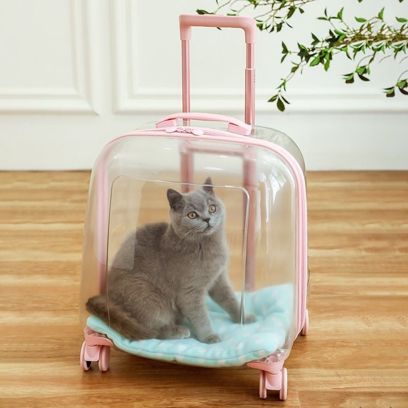 Transparent Pet Travel Carrier Case