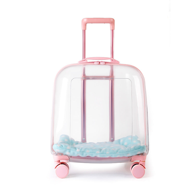 Portable Pet Airline Travel Carrier