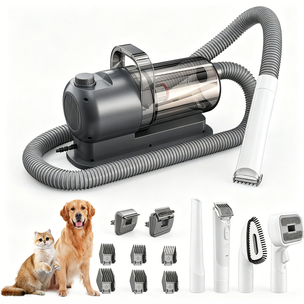 Pet physical toys