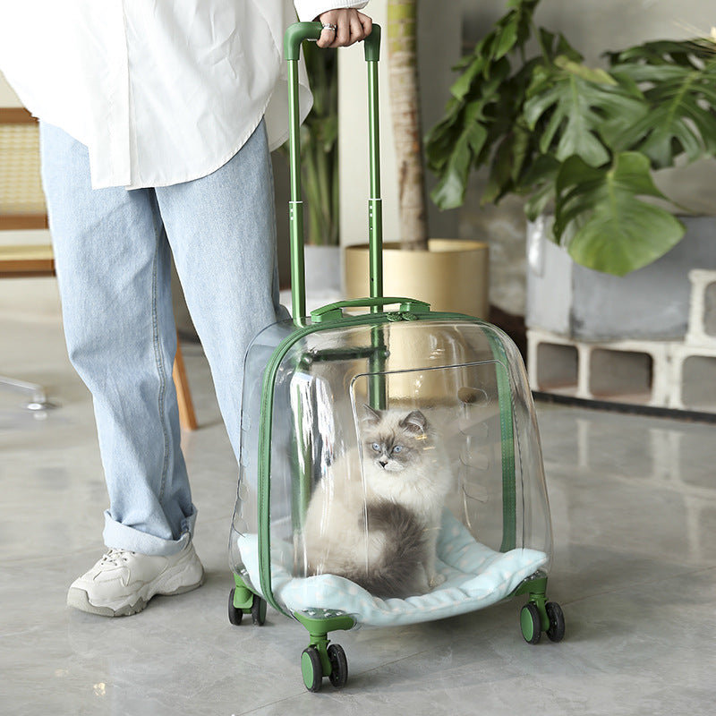 Portable Pet Airline Travel Carrier