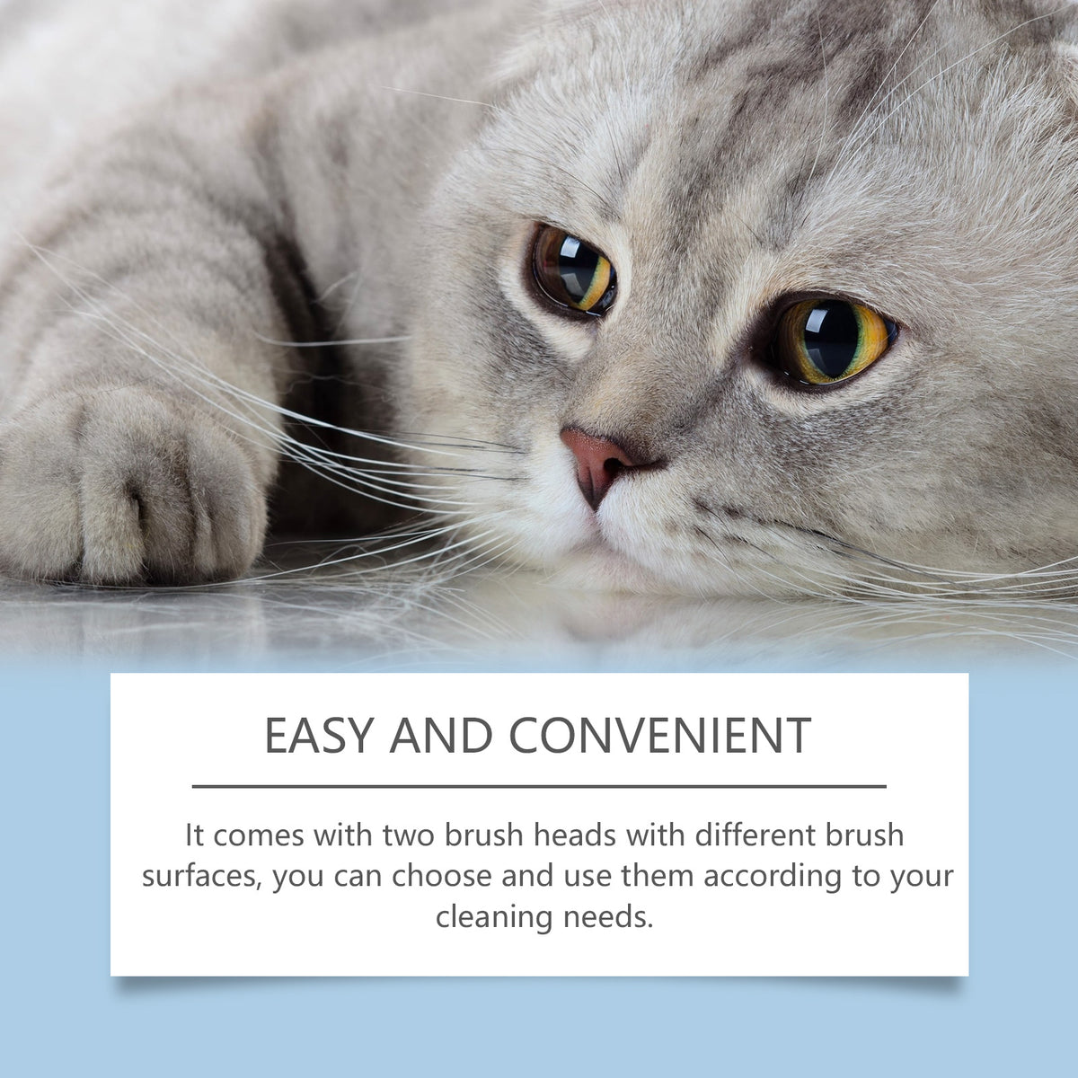 Pet Chin Cleaning and Care Set