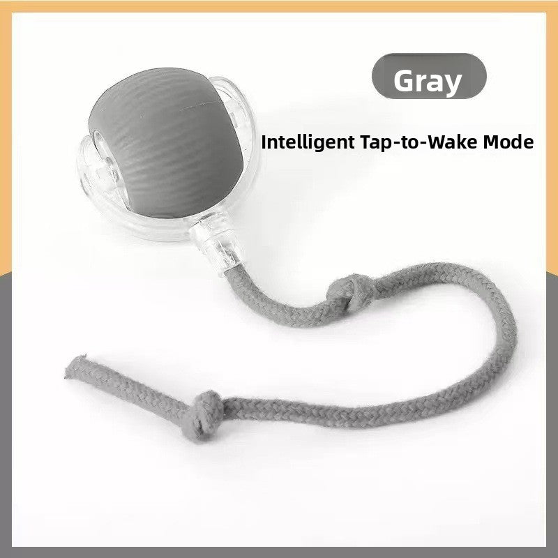 Electric pet toys