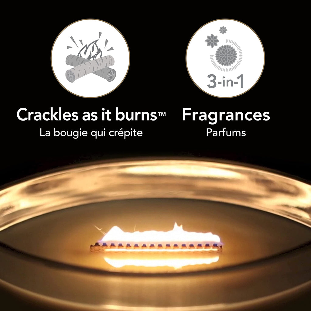 WoodWick Ellipse Scented Candle | Fireside | with Crackling Wick | Burn Time: Up to 50 Hours