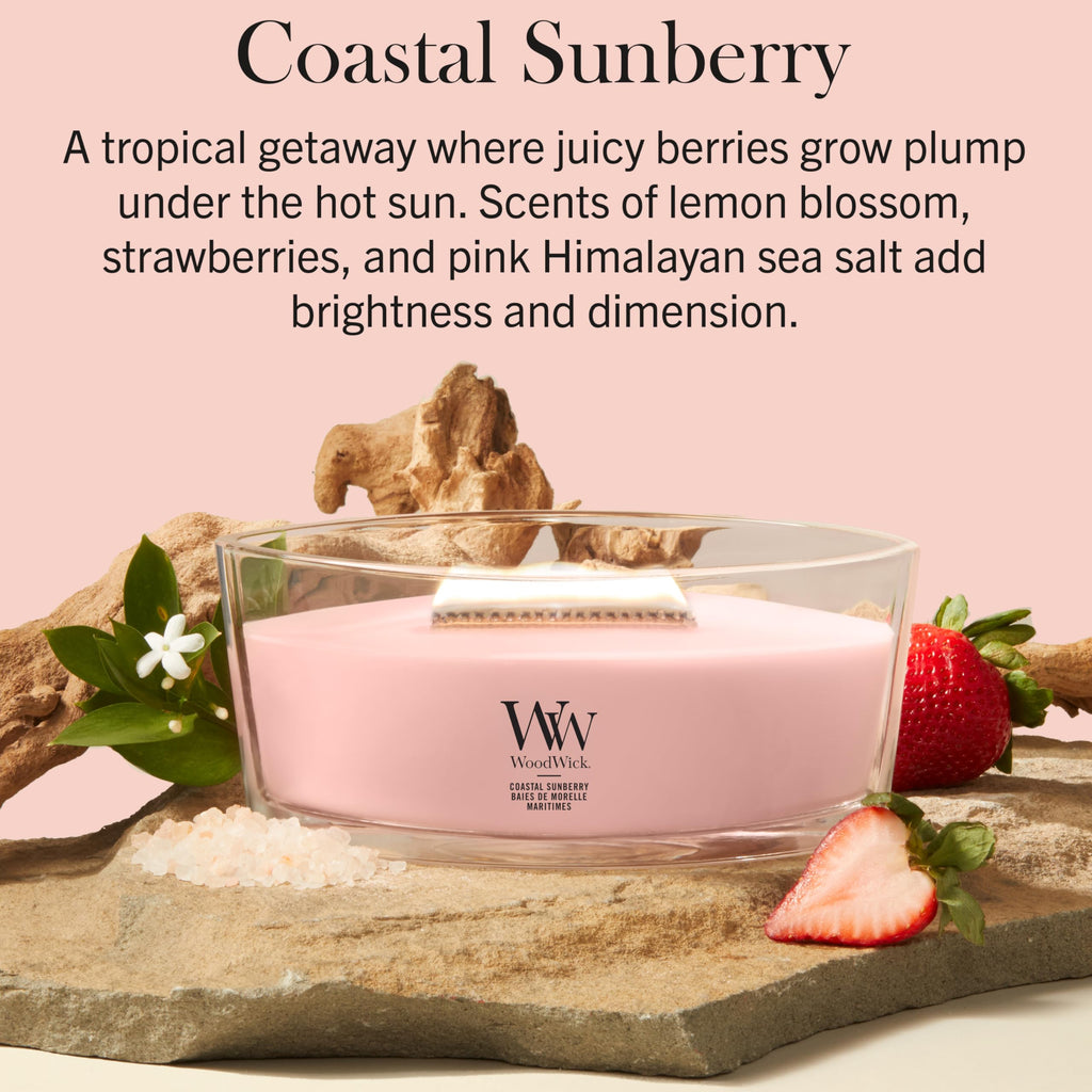 WoodWick Ellipse Scented Candle | Fireside | with Crackling Wick | Burn Time: Up to 50 Hours