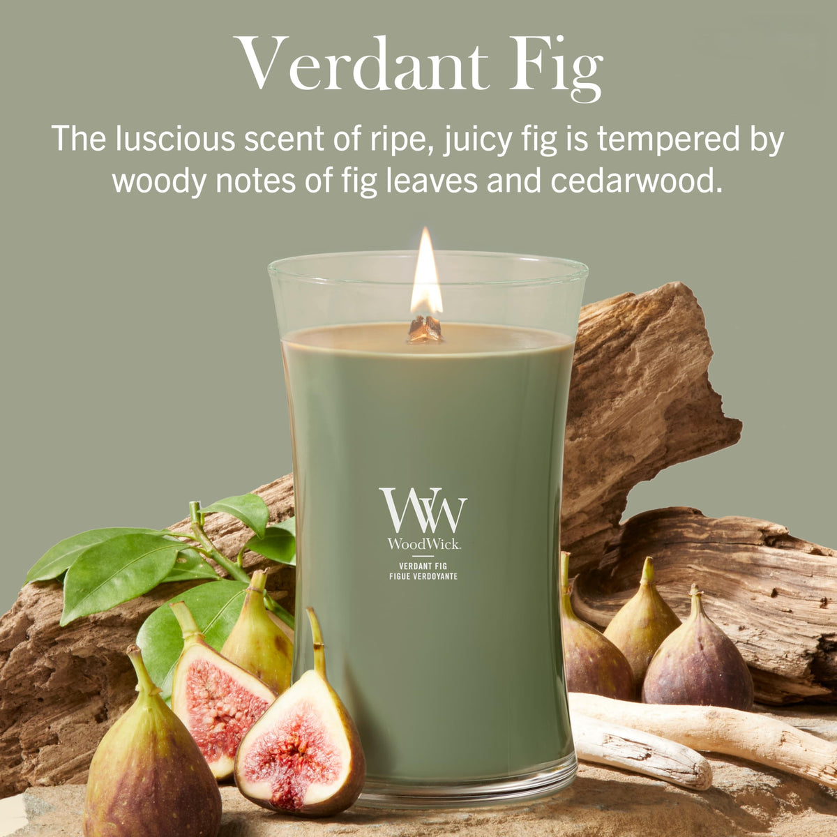 Woodwick Ellipse Scented Candle | Fraser Fir | with Crackling Wick | Burn Time: Up to 50 Hours