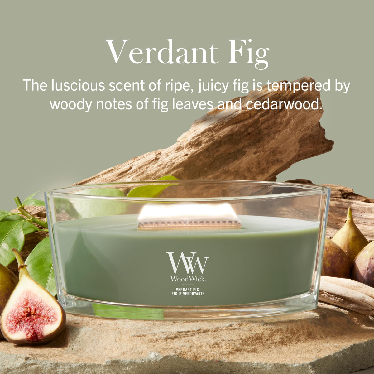 Woodwick Ellipse Scented Candle | Fraser Fir | with Crackling Wick | Burn Time: Up to 50 Hours