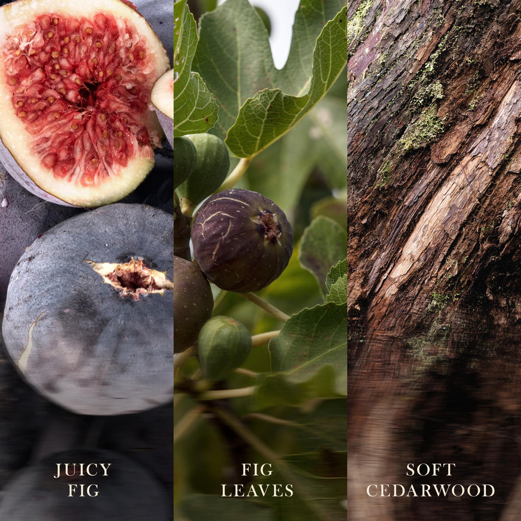 Woodwick Ellipse Scented Candle | Fraser Fir | with Crackling Wick | Burn Time: Up to 50 Hours