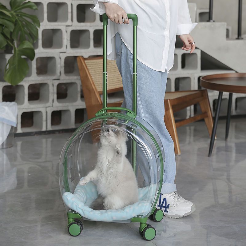 Transparent Pet Travel Carrier Case