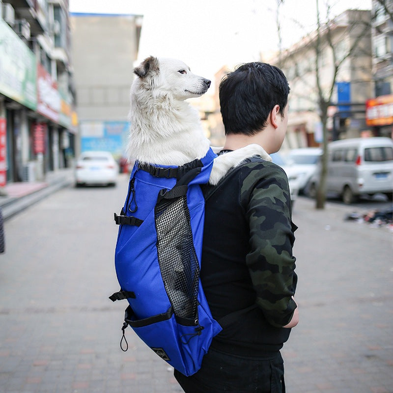 Ventilated Pet Travel Backpack