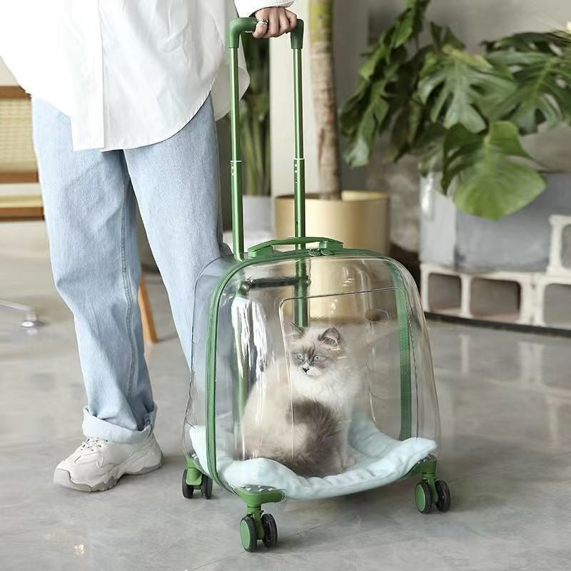 Transparent Pet Travel Carrier Case