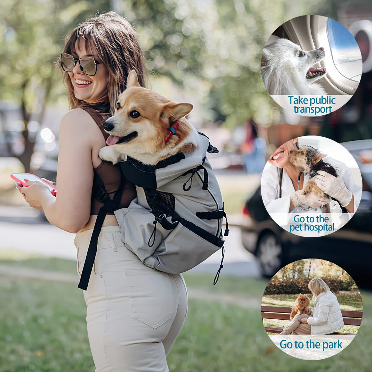 Dual Shoulder Pet Backpack for Outdoor Travel