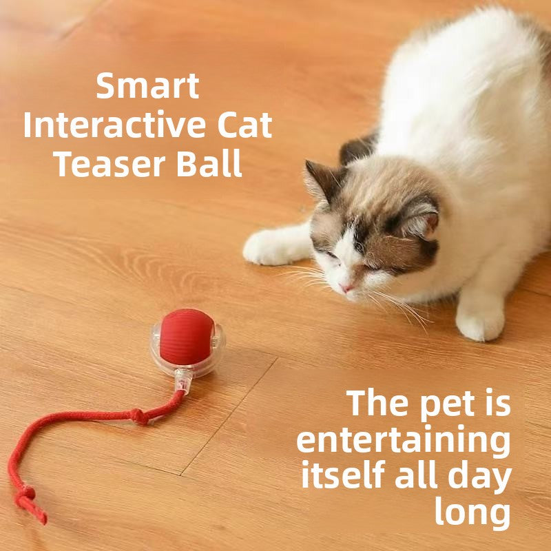 Electric pet toys