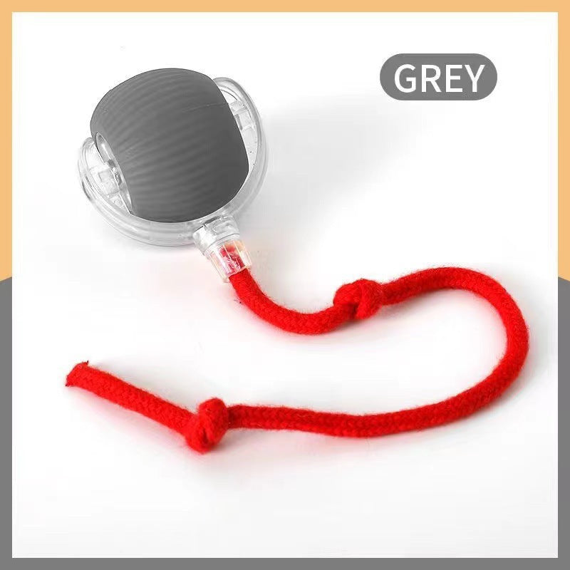 Plush Squeaky Pet Chew Toys