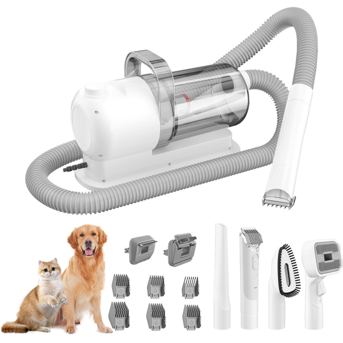 Pet physical toys