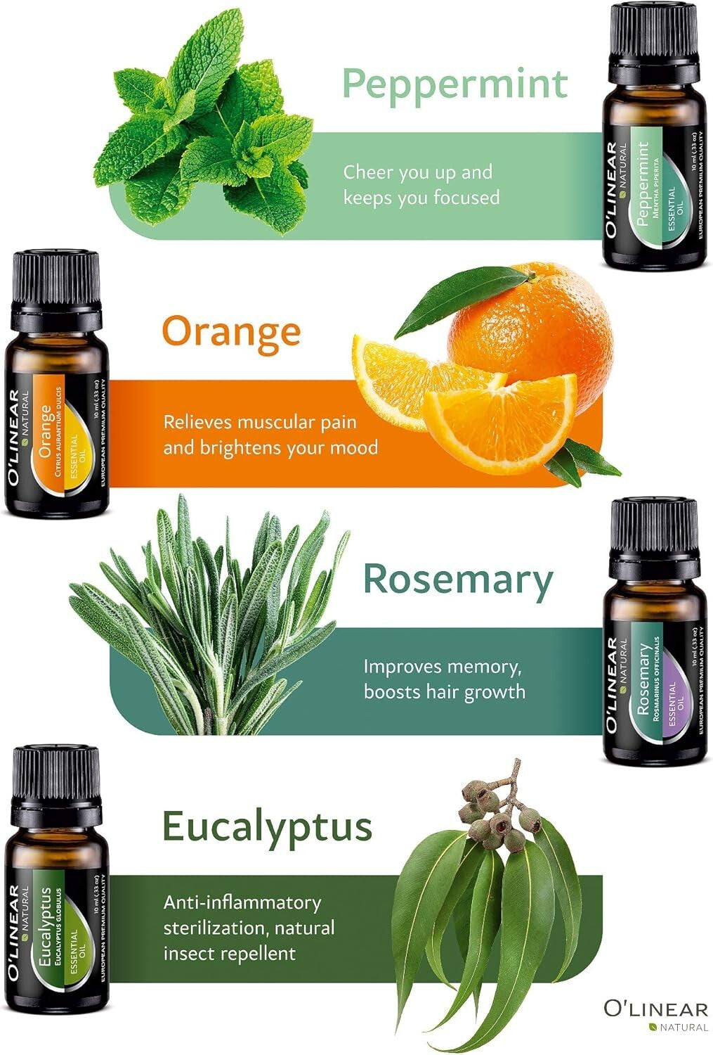 Top Essential Oils Set and Essential Oils Blends - Top 12/0.33oz (10ml)