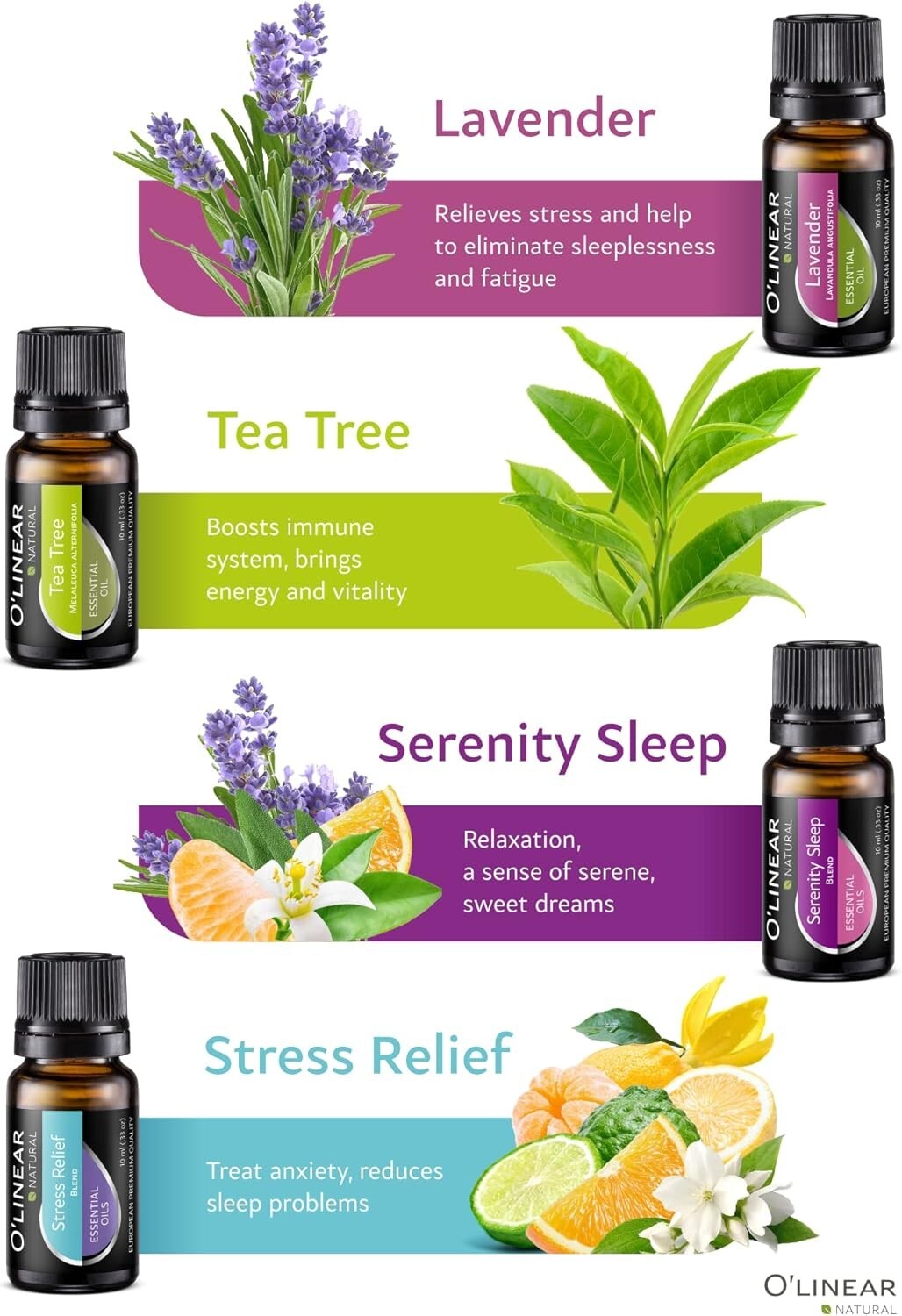 Top Essential Oils Set and Essential Oils Blends - Top 12/0.33oz (10ml)